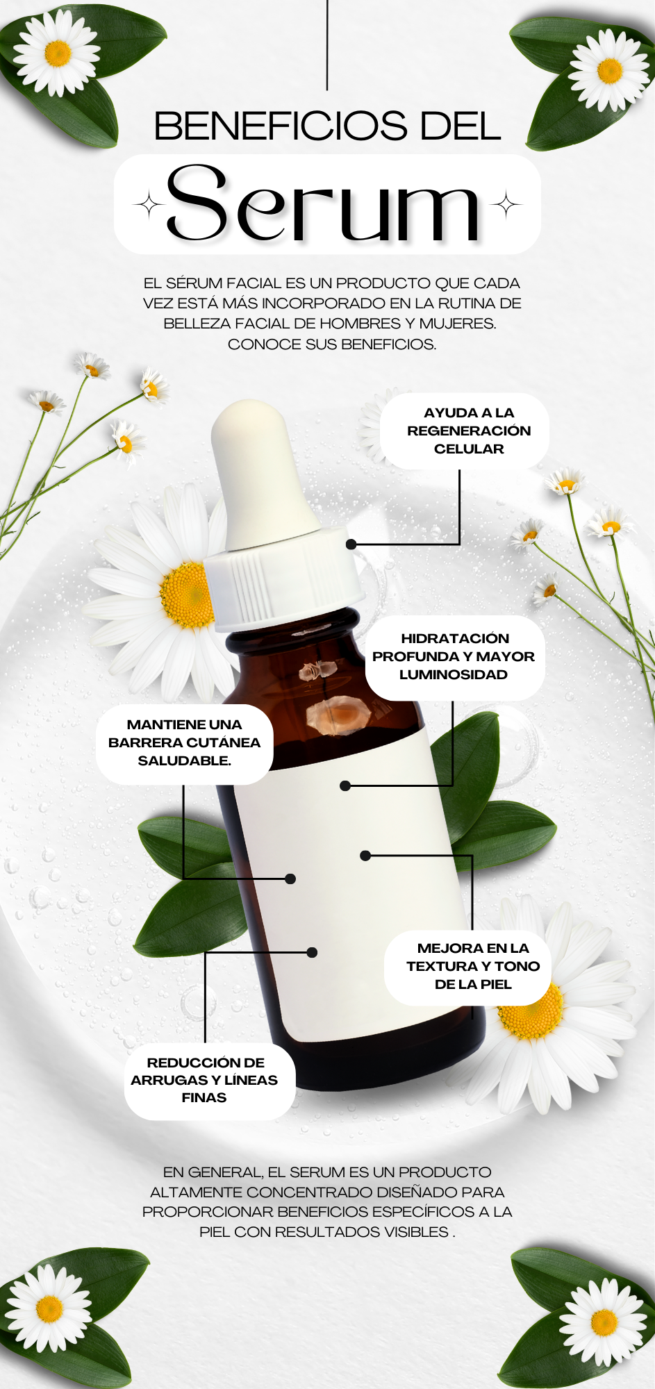 Infografia
